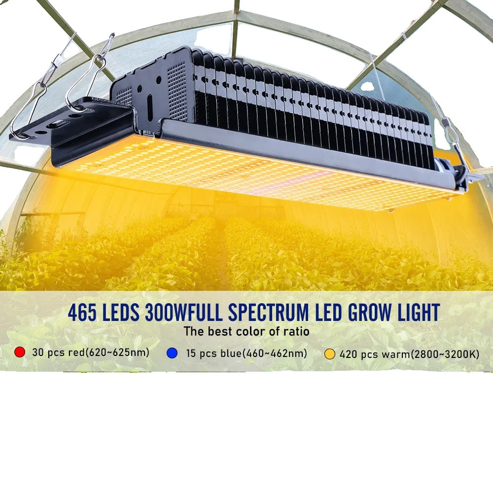 LED-Licht, Vollspektrum, Hydrokultur