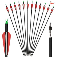 Kohlenstoffpfeile, 30 Zoll, 500 Wirbelsäule