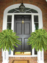 ForeverFern™ Long-lasting greenery 2