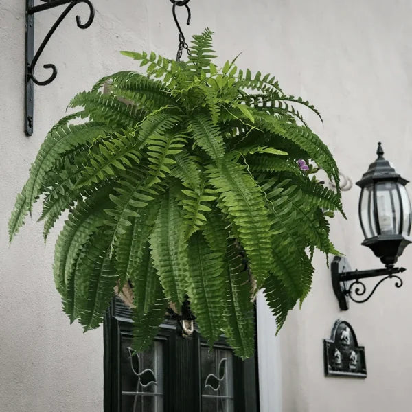 ForeverFern™ Long-lasting greenery 4
