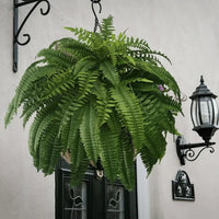 ForeverFern™ Long-lasting greenery 4