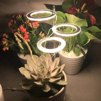 GrowGlow™ Mimics natural sunlight 2