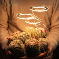 GrowGlow™ Mimics natural sunlight 7