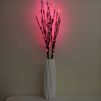 NatureGlow™ - Brings a touch of warmth to your living space 4