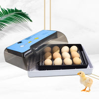 Eggs Incubator, Fully Automatic Turning, Hatching