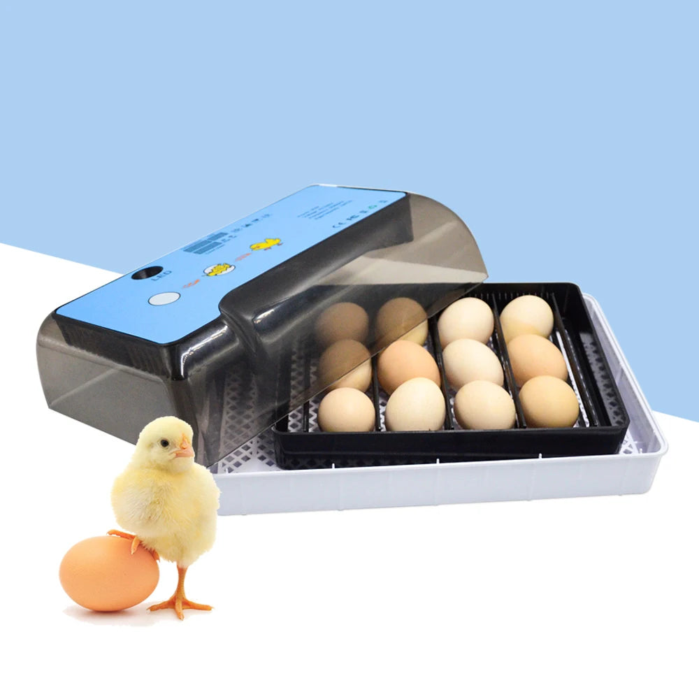 Eggs Incubator, Fully Automatic Turning, Hatching