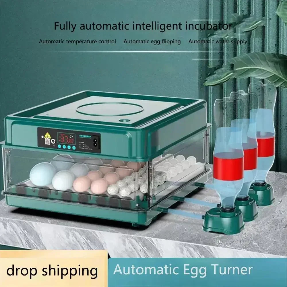Automatischer Eierinkubator, Schubladen-Design, automatische Wasserbefüllung