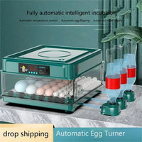 Automatischer Eierinkubator, Schubladen-Design, automatische Wasserbefüllung