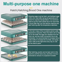 Automatischer Eierinkubator, Schubladen-Design, automatische Wasserbefüllung