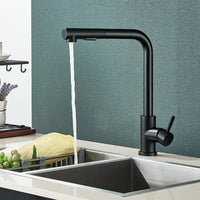 Kitchen Sink Faucet, Pull Out Sprayer, Stainless Steel Build