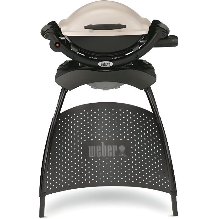 Weber Gasgrill Q 1000 Stand und Gasgrill
