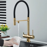 Keuken Waterfilter Kraan, Geborsteld Goud Afwerking, Dubbele Uitloop Rotatie