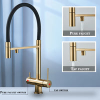 Keuken Waterfilter Kraan, Geborsteld Goud Afwerking, Dubbele Uitloop Rotatie