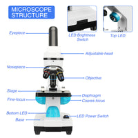 Mikroskop, professionelle Biologie, Schullabor