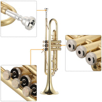 Trumpet, Flat Brass, Gold Painted Musical Instrument, Includes Mouthpiece - Gloves - Strap - Case