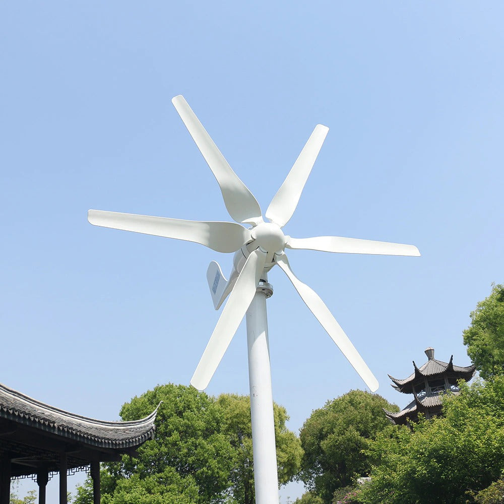 Windturbine – Windmolen – Elektrischer Energiegenerator – 12 V – 800 W – 6 Blätter – mit MPPT-Controller
